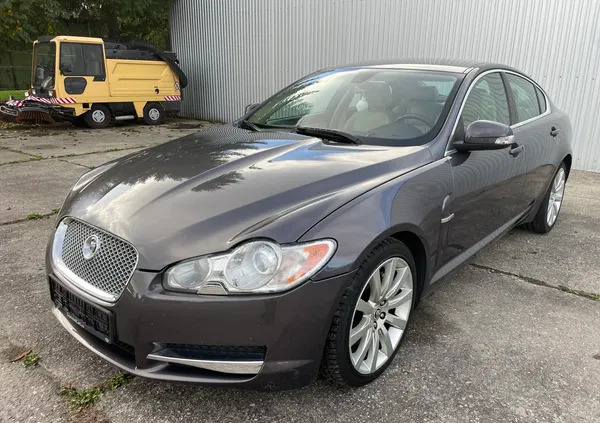 opolskie Jaguar XF cena 16700 przebieg: 244580, rok produkcji 2008 z Nysa